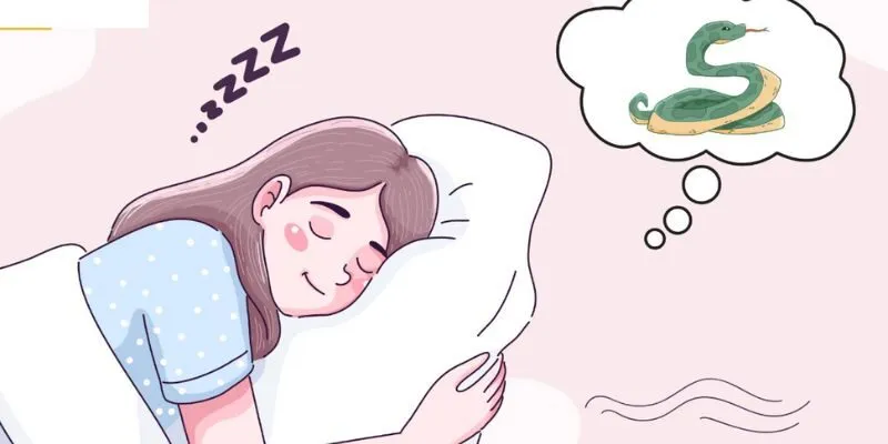 Nằm Mơ Thấy Rắn Báo Hiệu Điềm Gì Tại Lô Đề V9bet 2 Giải mã số học giấc mơ về loài rắn
