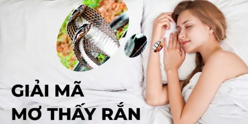 Nằm Mơ Thấy Rắn Báo Hiệu Điềm Gì Tại Lô Đề V9bet 1 Rắn là loài động vật gắn liền với những chiêm bao kỳ lạ