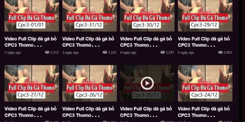 Trực Tiếp Đá Gà Thomo – Hấp Dẫn Tại Nhà Cái V9bet 1 Đa dạng thể loại để cược thủ lựa chọn